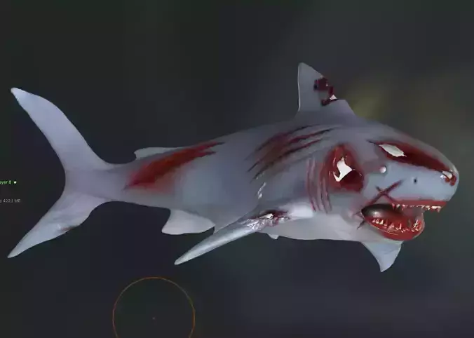 Zombie shark