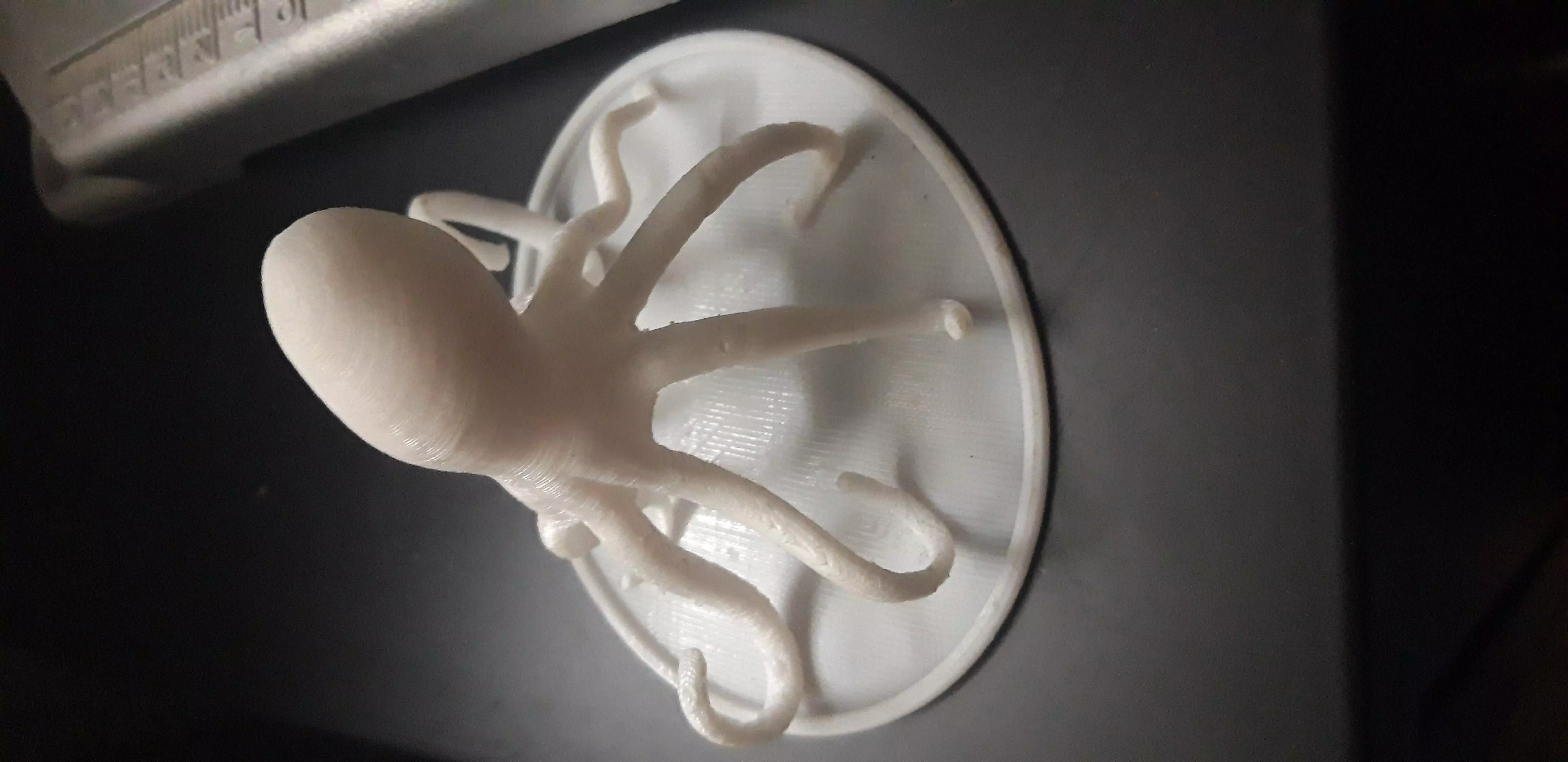 octopus 3D print model_0