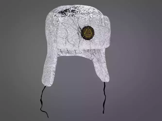 Foil Hat 3D model
