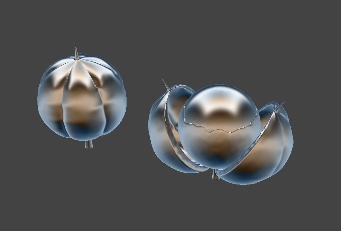 Guarana fruit 3D model 3D model_1