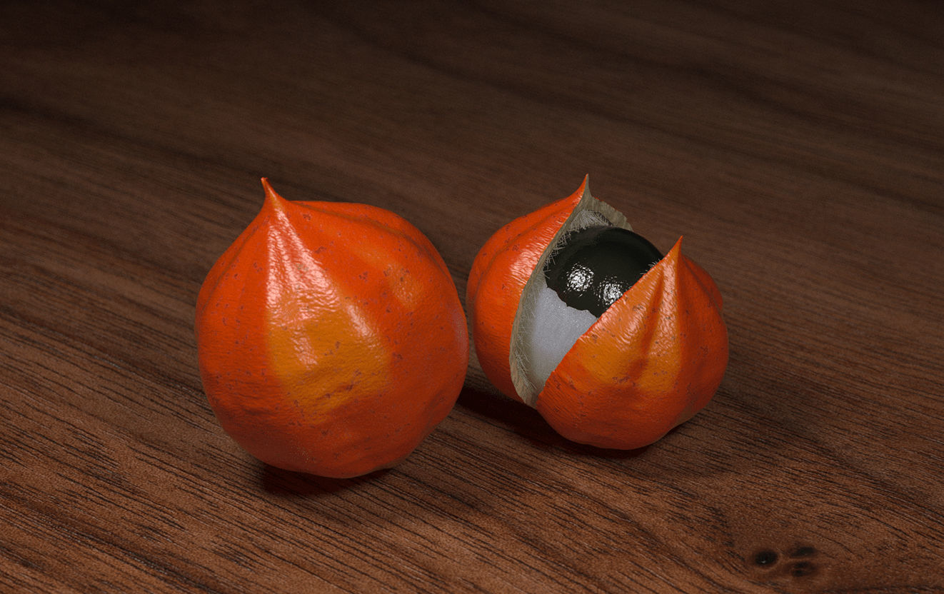 Guarana fruit 3D model 3D model_2