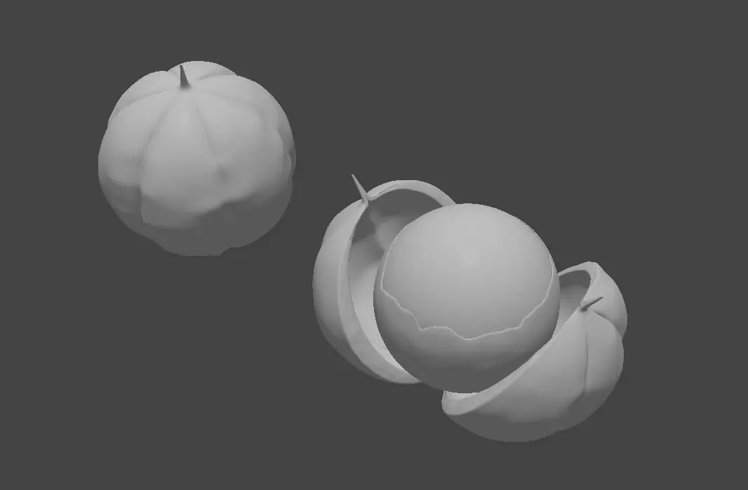 Guarana fruit 3D model 3D model_0