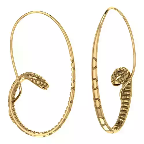 Earrings snake