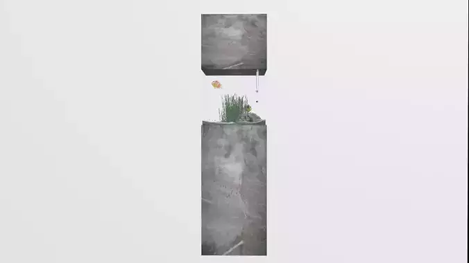 aquarium in the style of minimalism