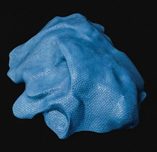 Tarpaulin 3D Model head Low-poly 3D model