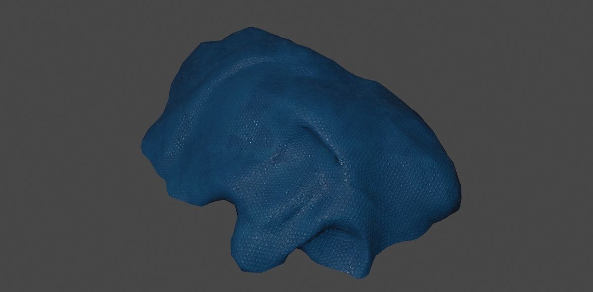 Tarpaulin 3D Model head Low-poly 3D model_6