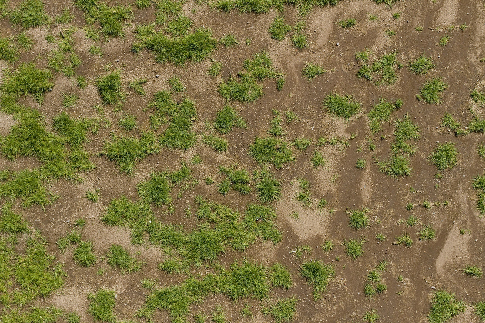 tree house 3D model_5