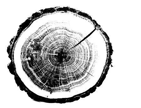 tree house 3D model_7