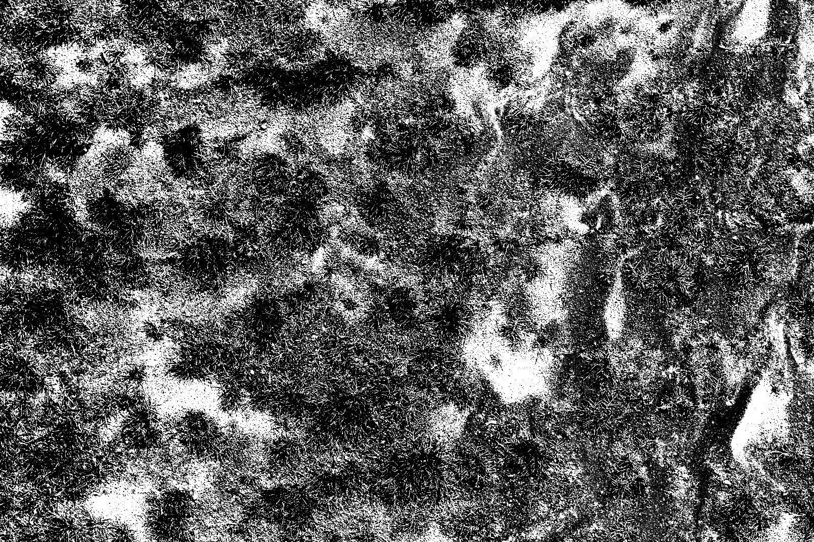 tree house 3D model_8