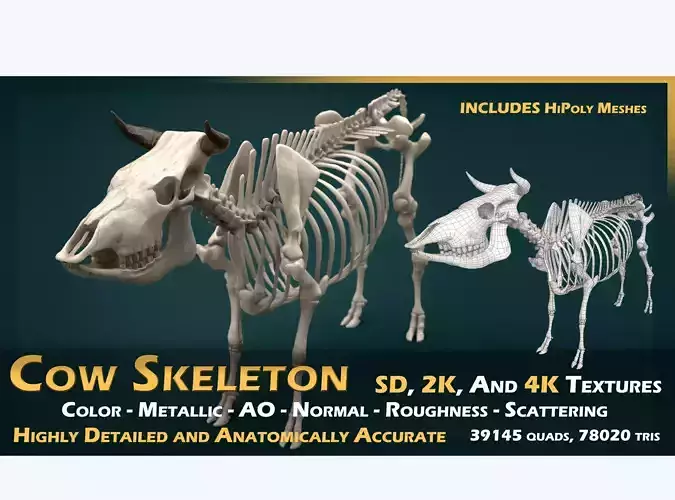 Cow Skeleton