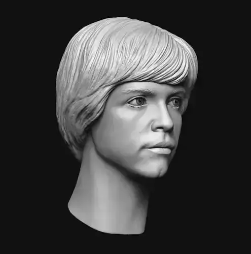Star Wars Luke Skywalker Head