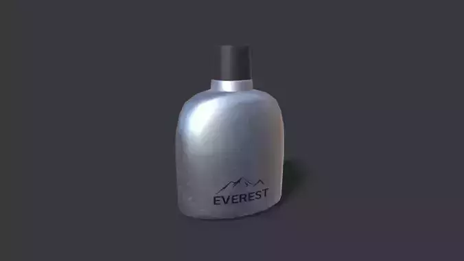 Flask silver bottle Low-poly 3D model