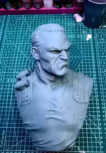 Punisher bust