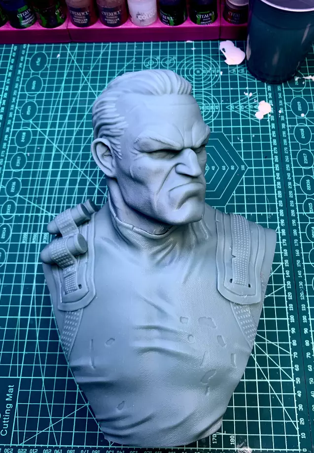 Punisher bust 3D print model_0