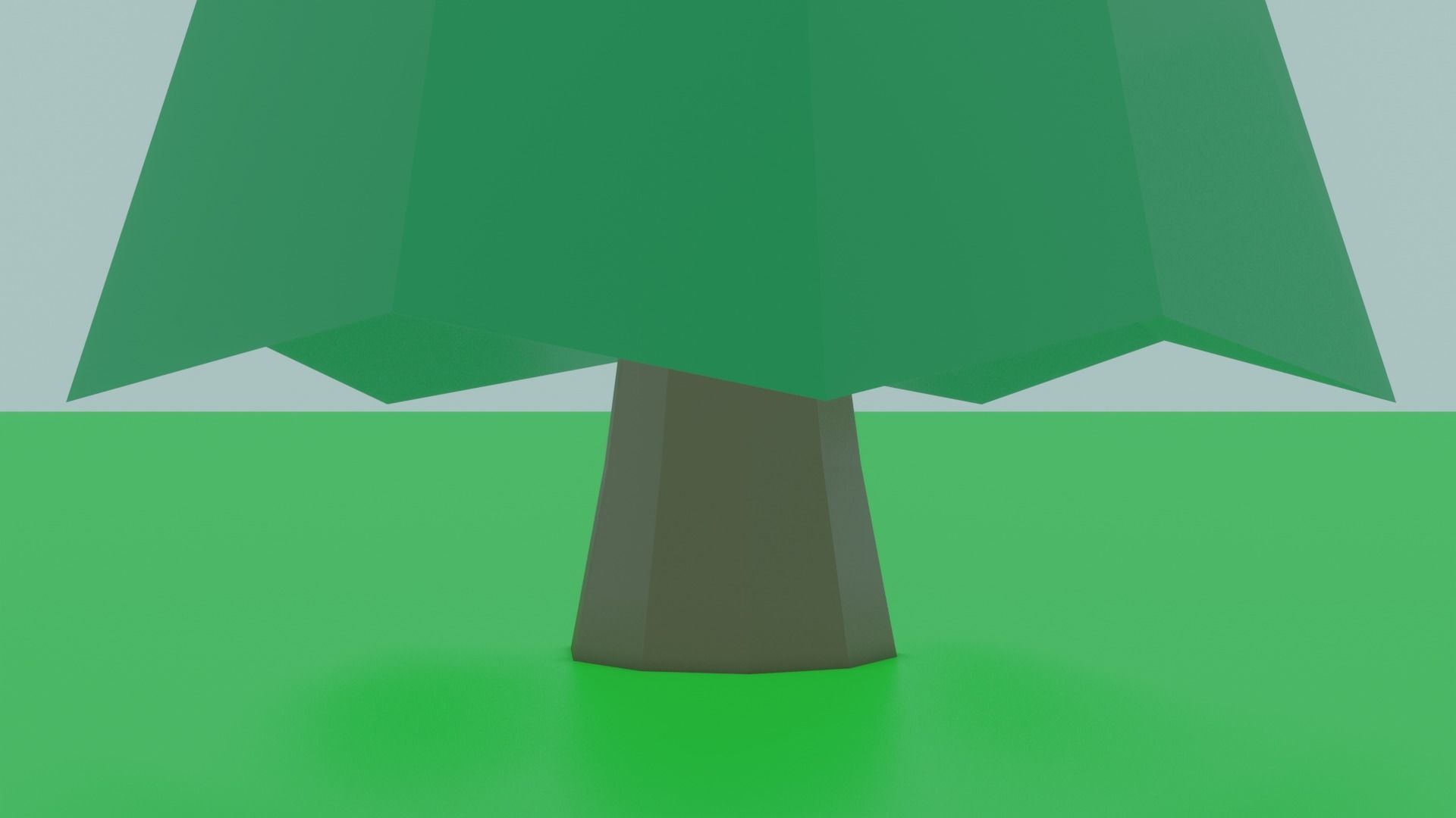 Low Poly Fir tall pine tree in middle of field Free low-poly 3D model_3