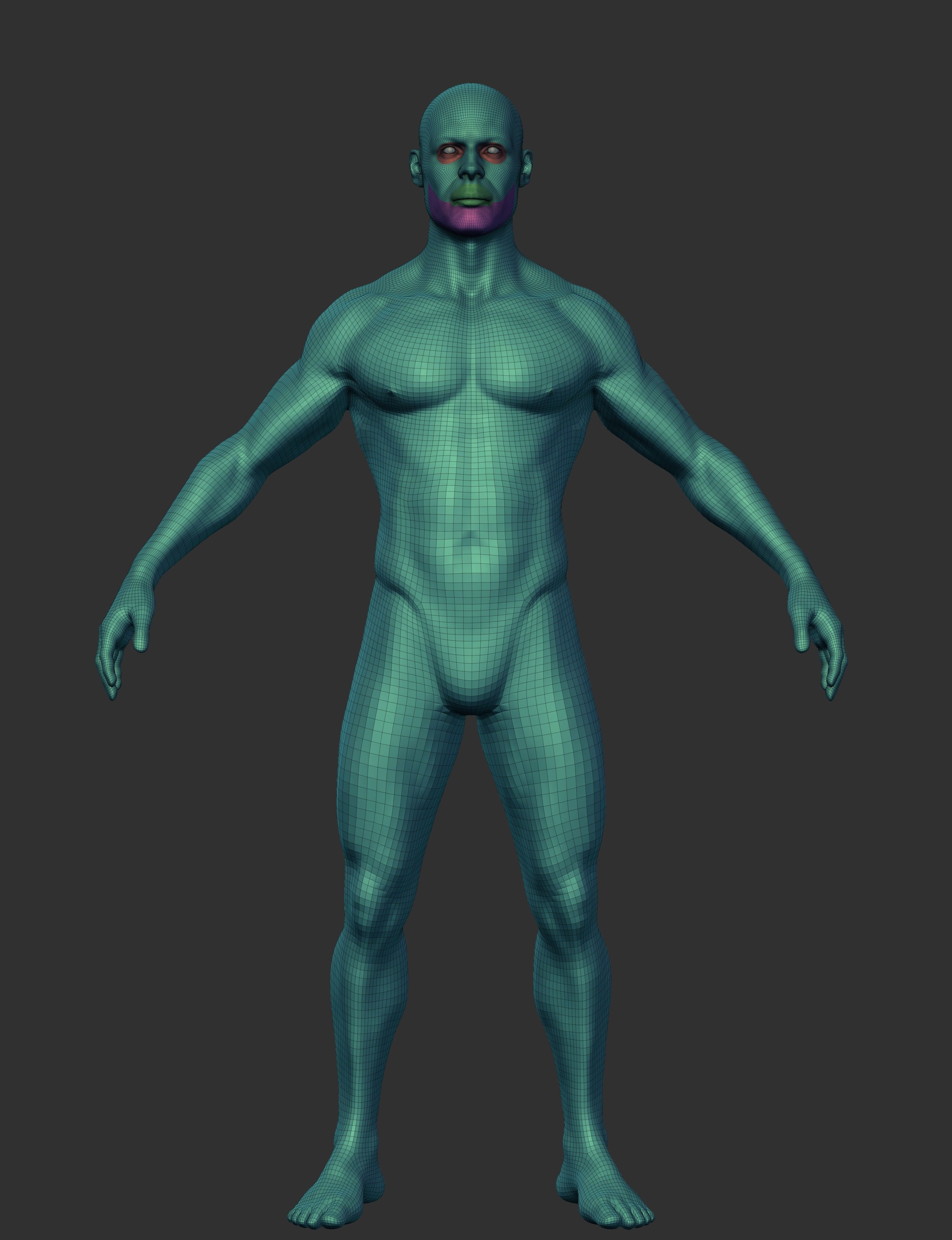 Male Anatomy Base Mesh for Production 3D model_7