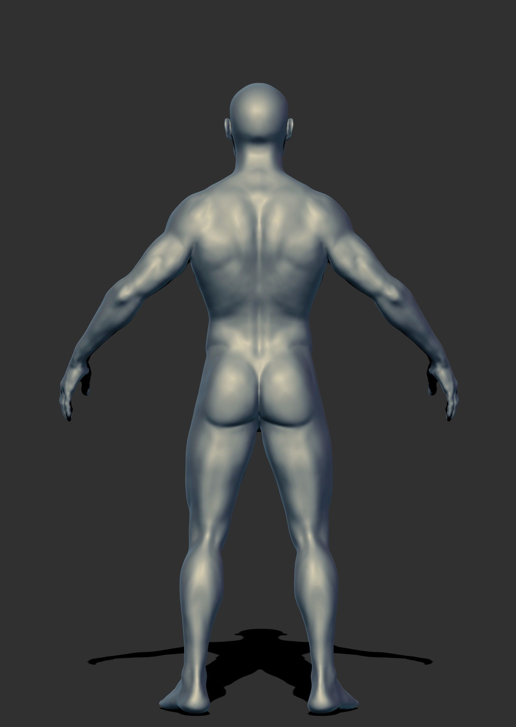Male Anatomy Base Mesh for Production 3D model_2