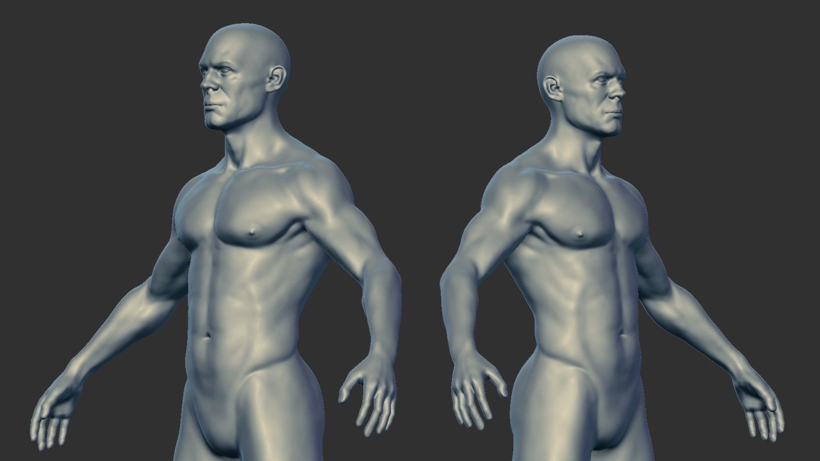 Male Anatomy Base Mesh for Production 3D model_4