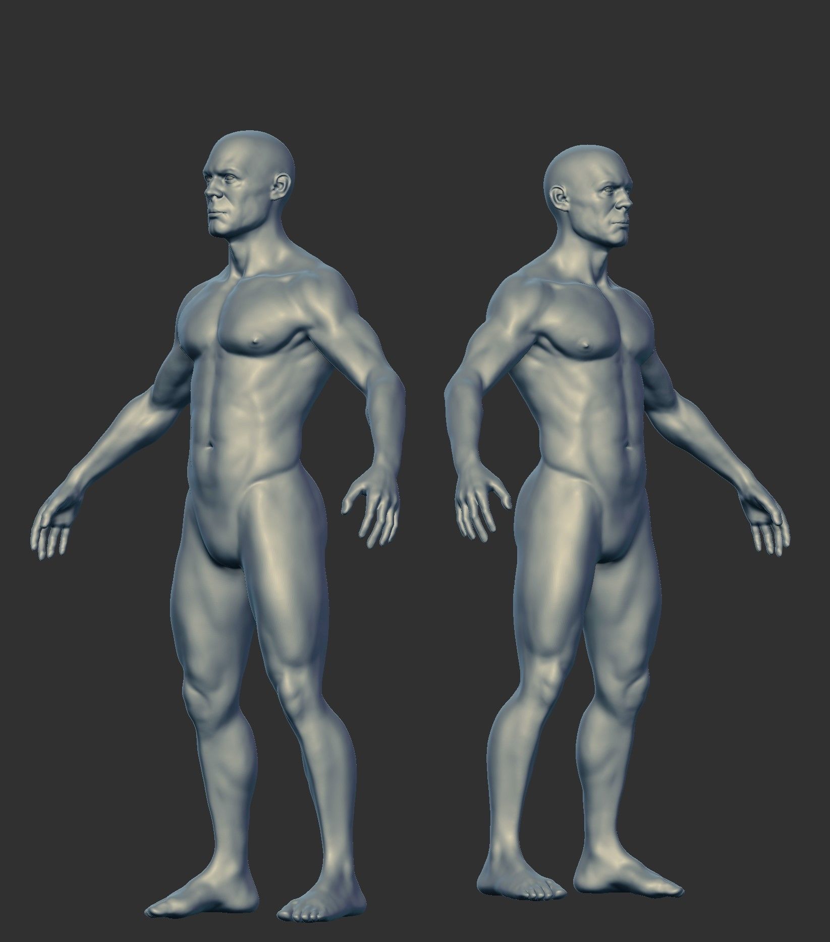 Male Anatomy Base Mesh for Production 3D model_3
