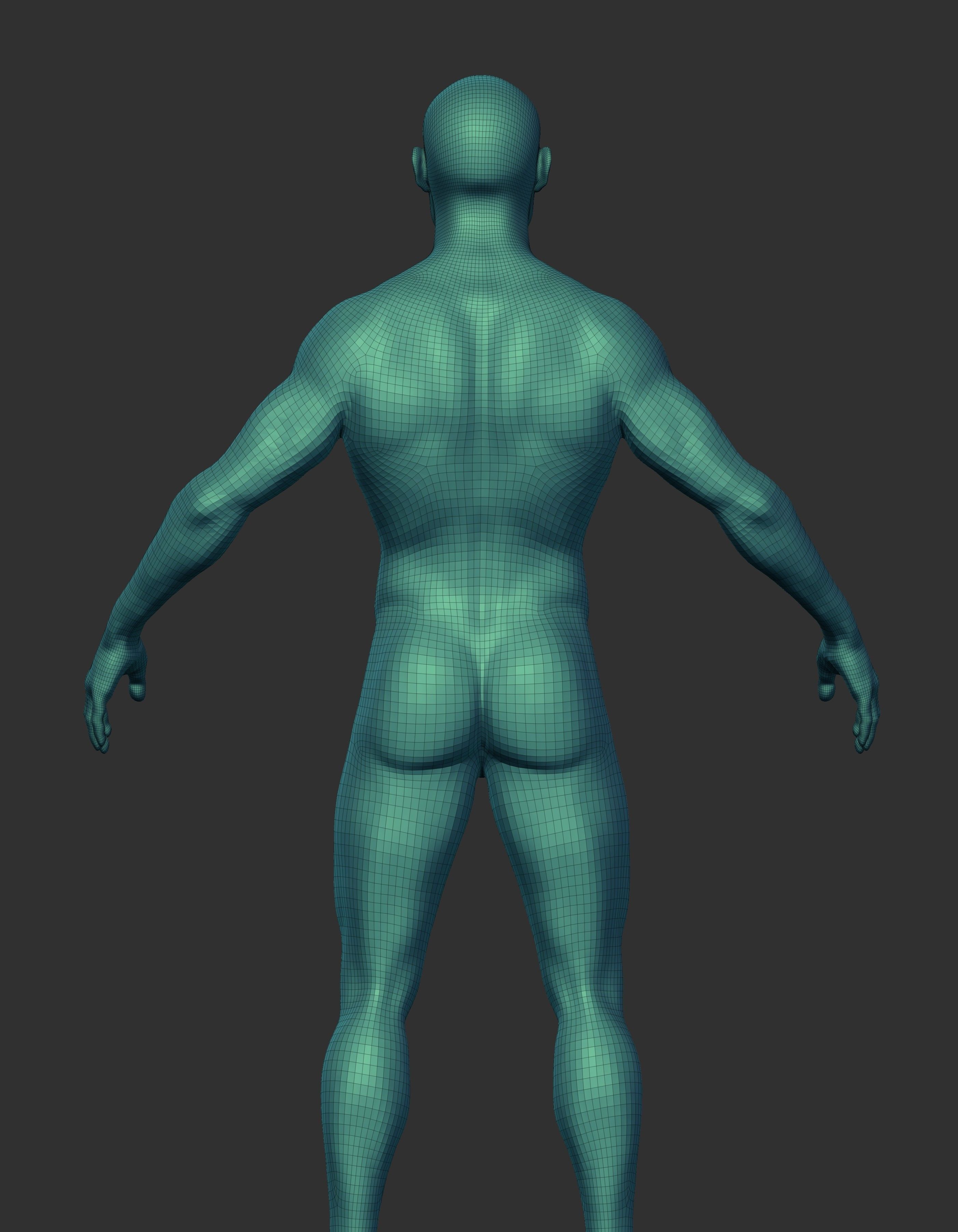 Male Anatomy Base Mesh for Production 3D model_8
