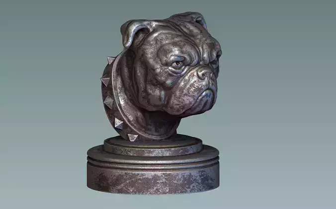 English Bulldog Head