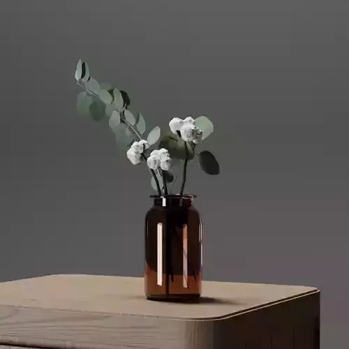 Cotton and Eucalyptus Branches Plant in Amber Glass Jar