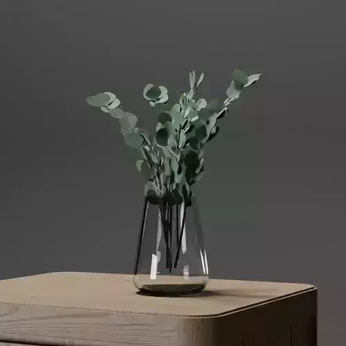 Eucalyptus Plant in Glass Vase