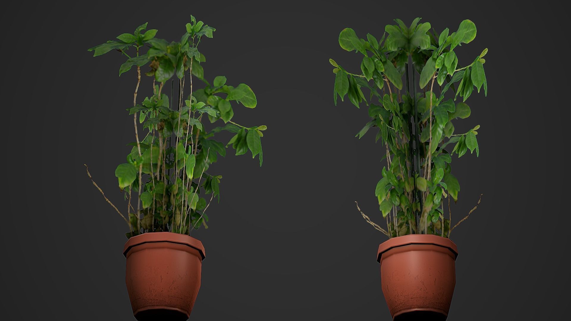 Flowers 01 Low Poly Mobile Ready Low-poly 3D model_2