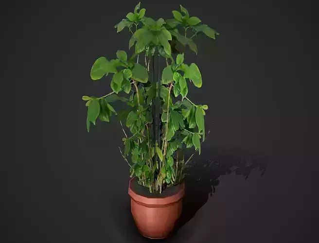 Flowers 01 Low Poly Mobile Ready Low-poly 3D model