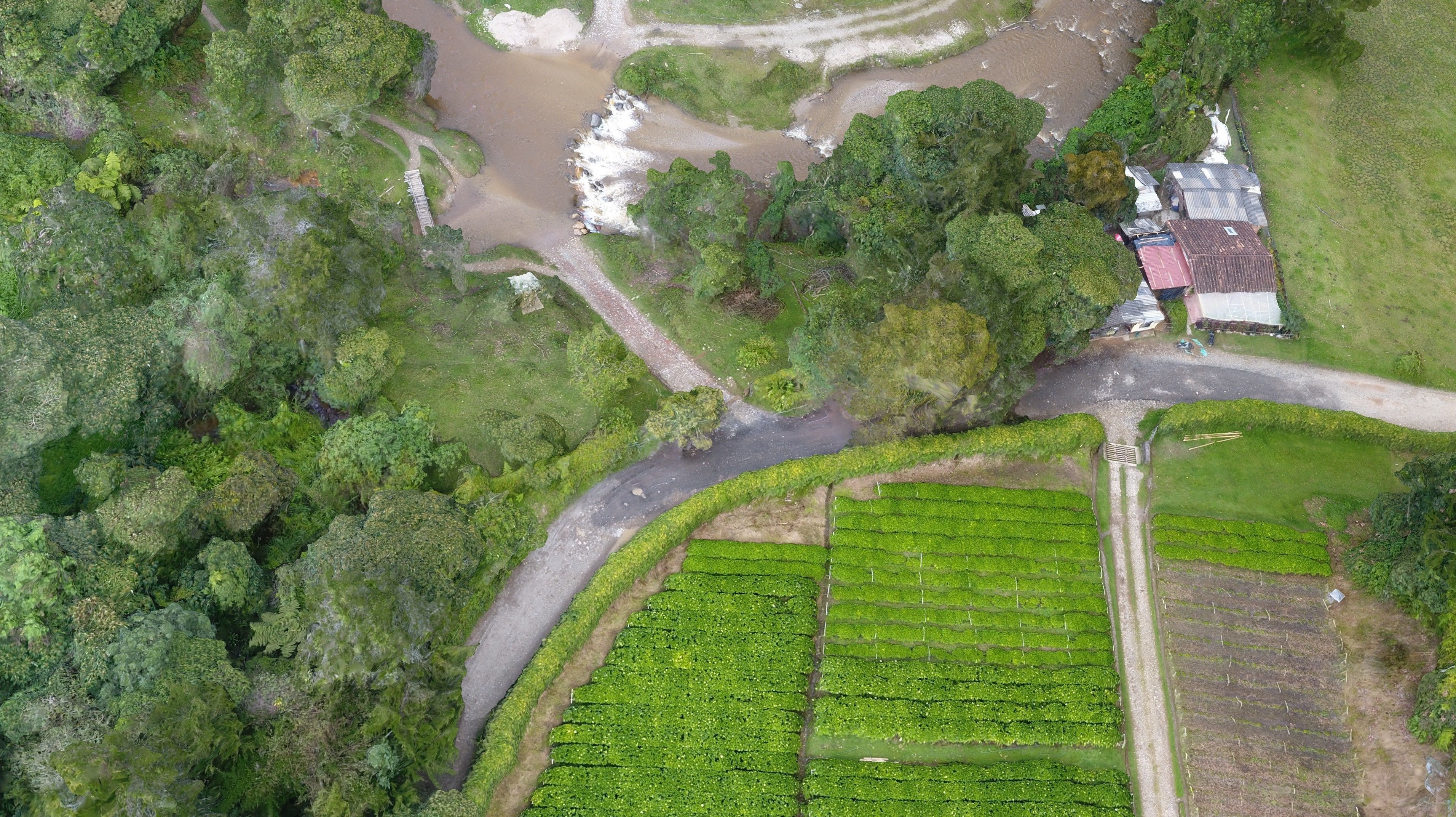 Paso del Toro 22 03 2021 Low-poly 3D model_6