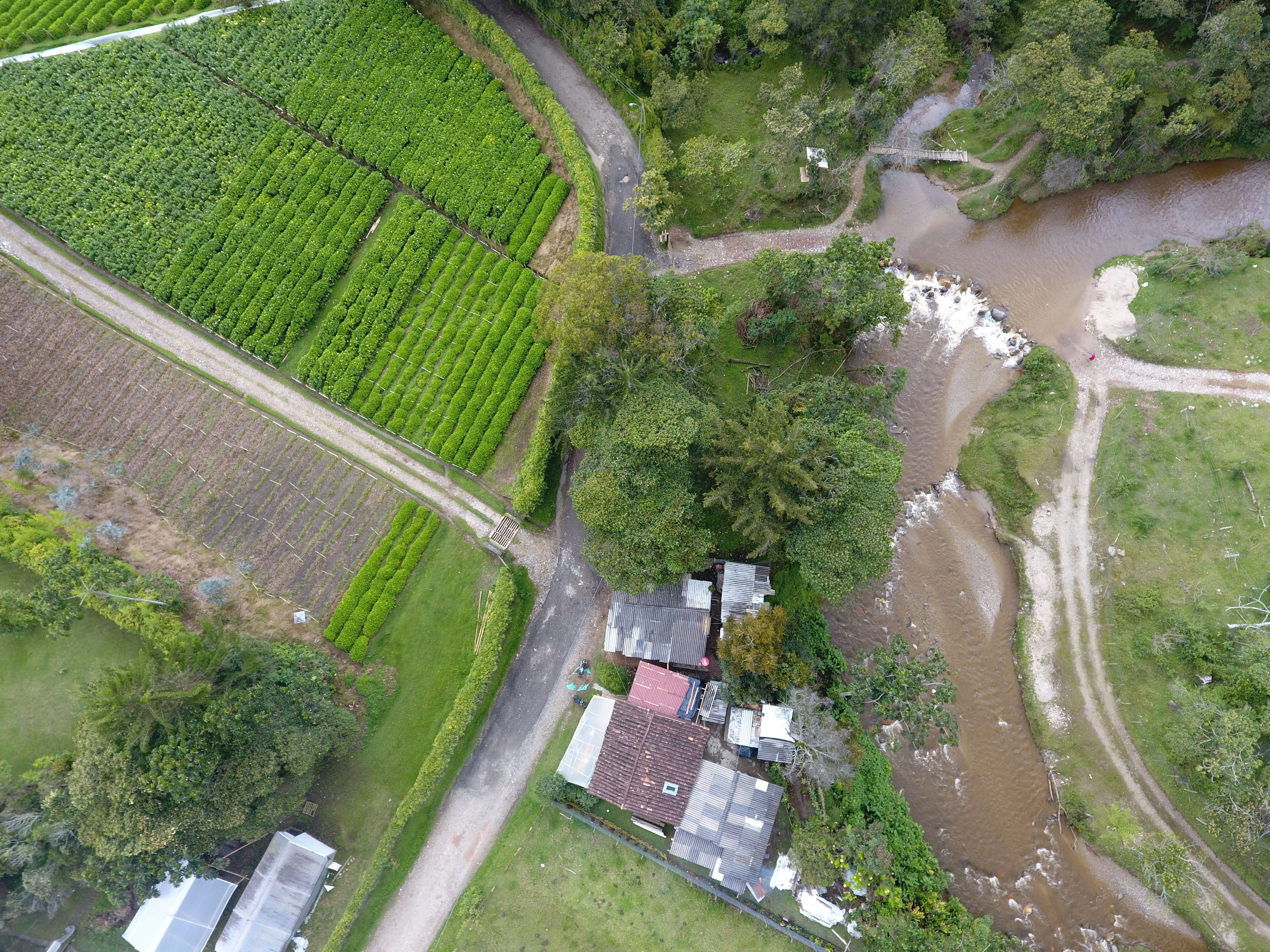 Paso del Toro 22 03 2021 Low-poly 3D model_21