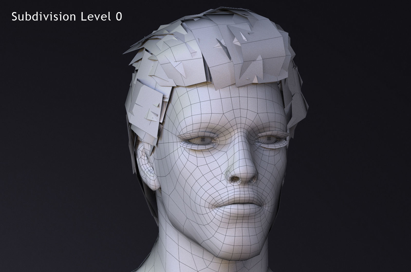 Male Base Rig Low-poly 3D model_14