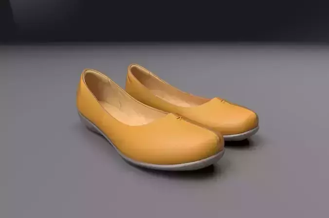 Women Shoe