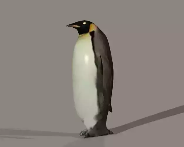 penguin lowpoly Low-poly 3D model