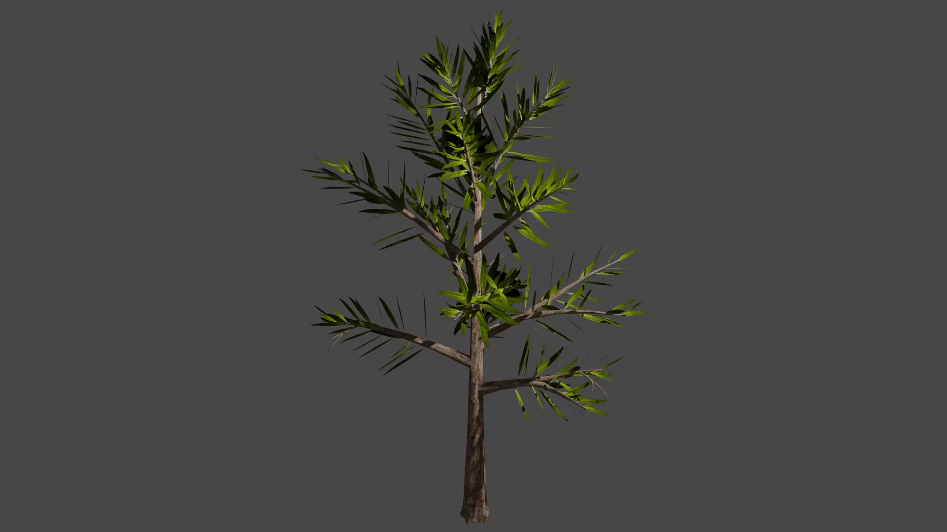 tree with leaf Free 3D model_0