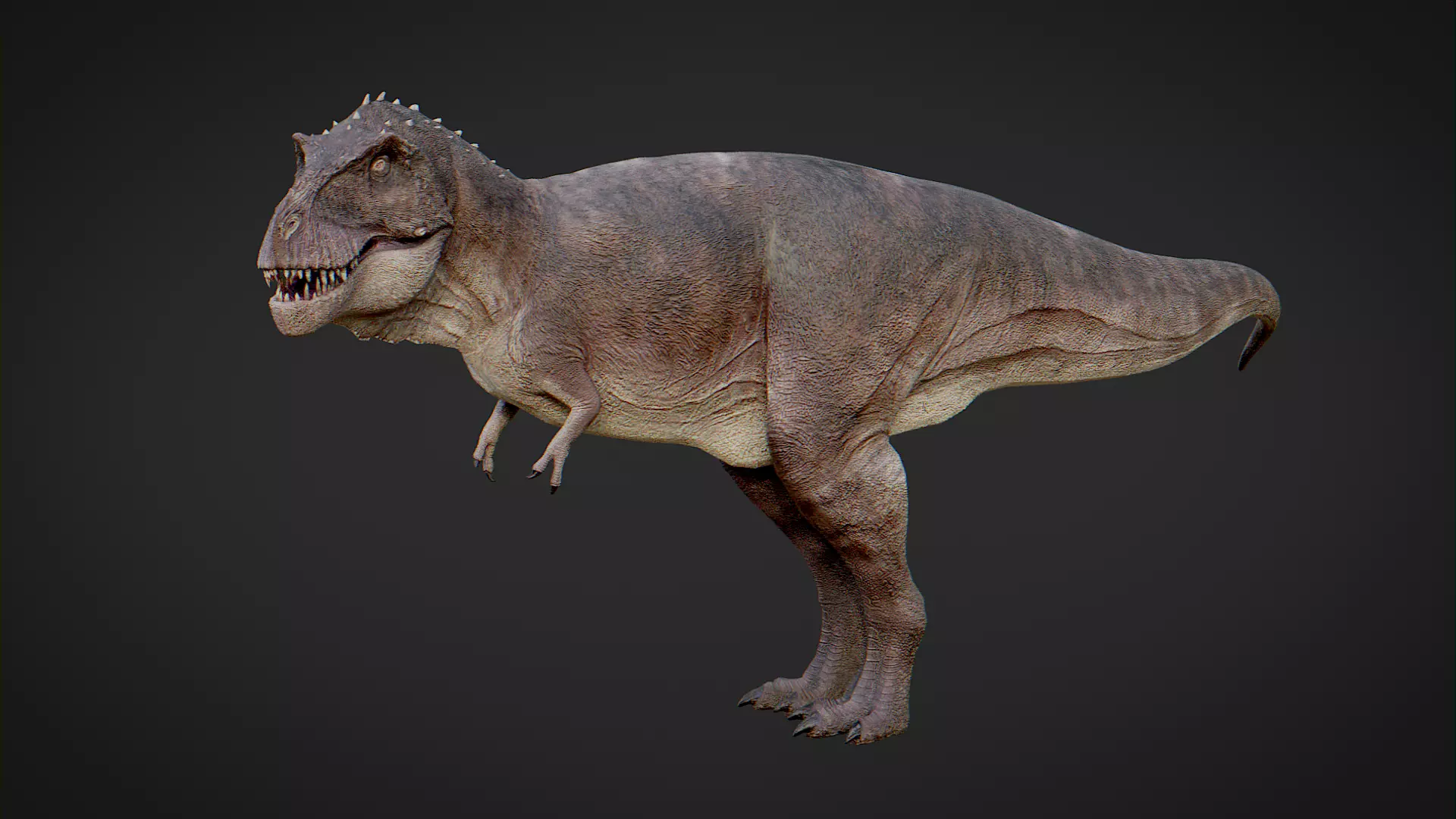 T-Rex Low-poly 3D model_0