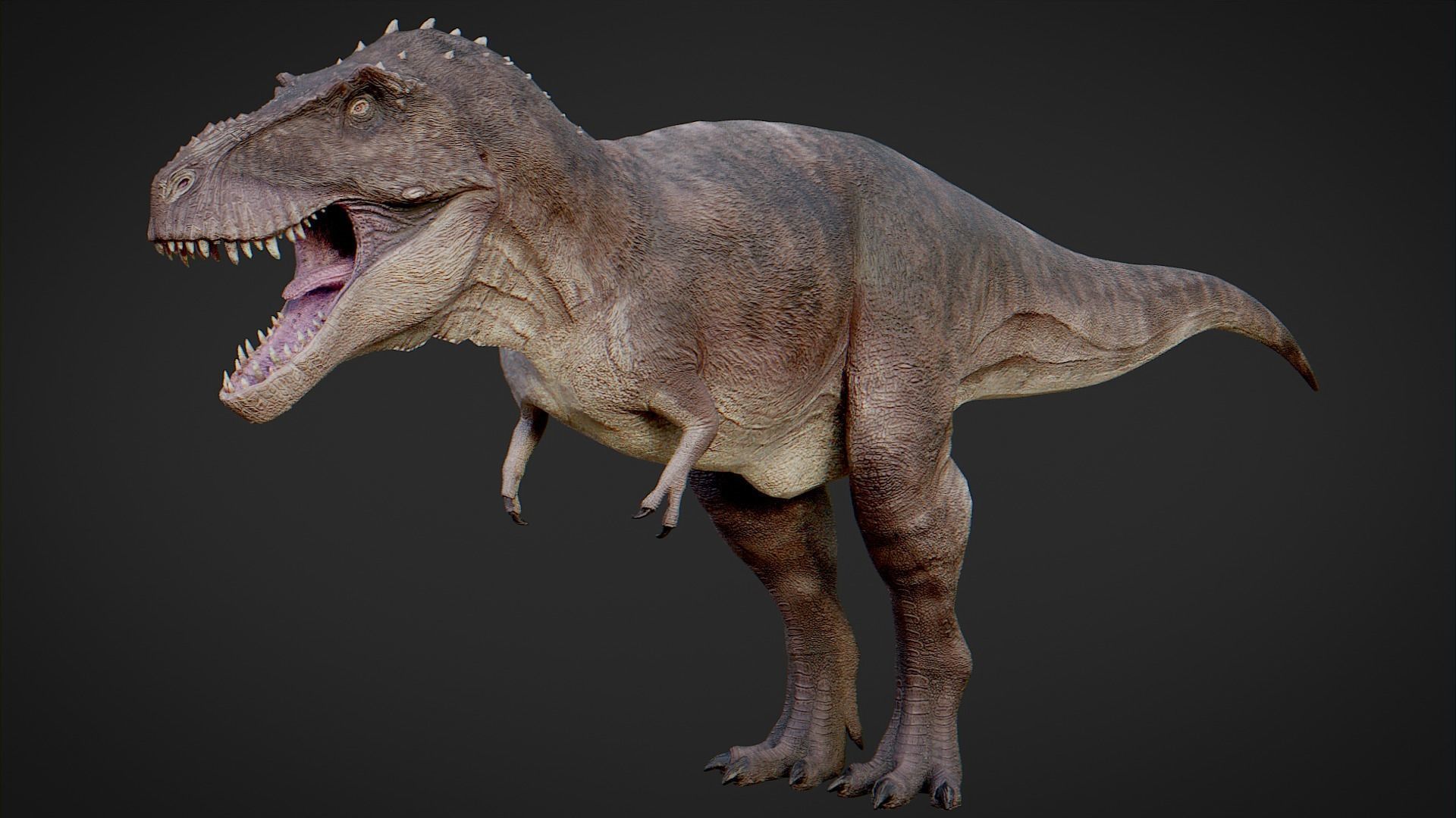 T-Rex Low-poly 3D model_1