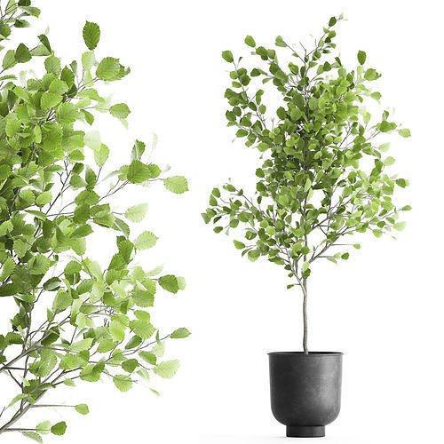 Decorative tree in a flowerpot for the interior 953 3D model