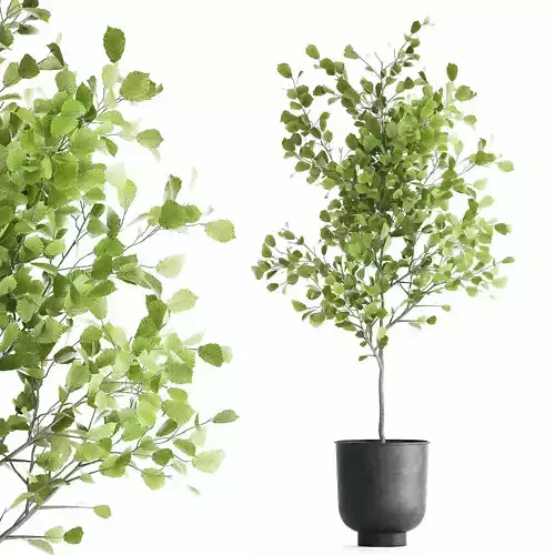 Decorative tree in a flowerpot for the interior 953