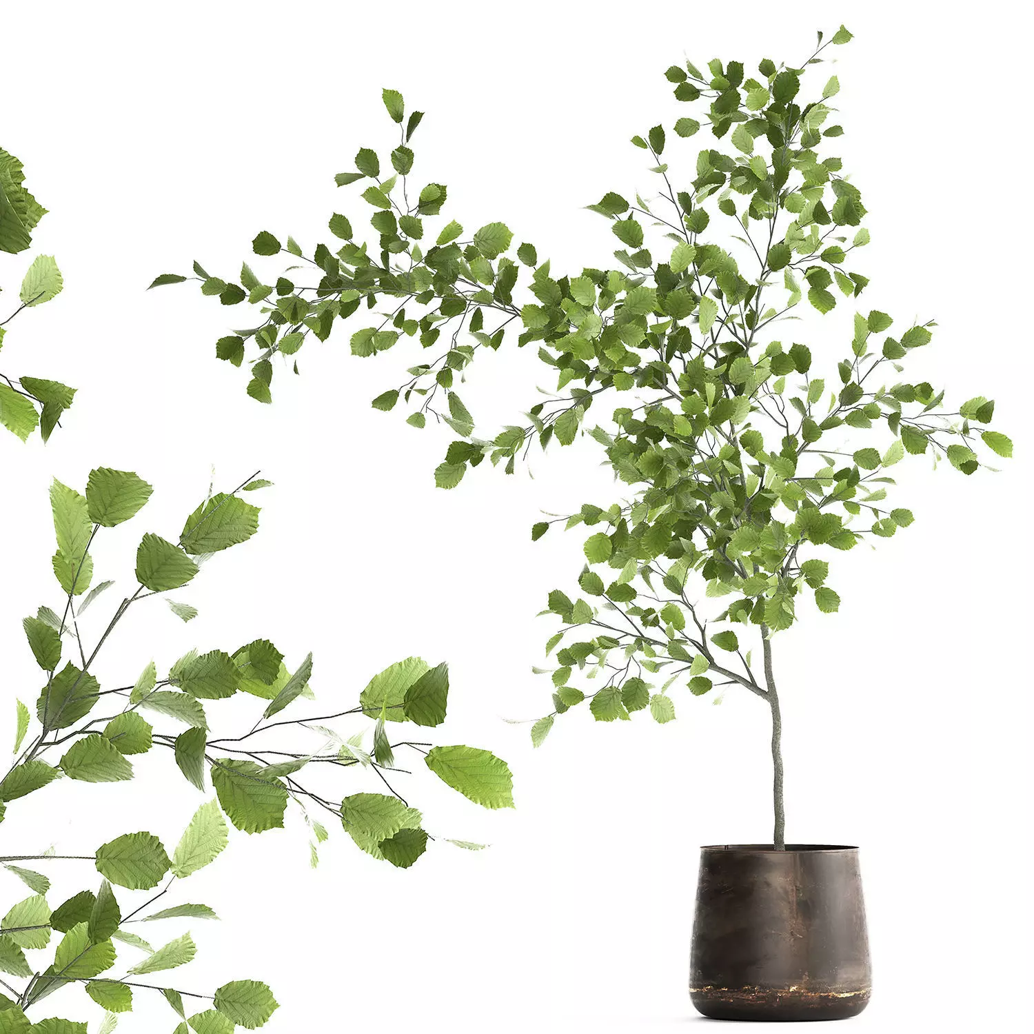 Decorative tree in a flowerpot for the interior 955 3D model