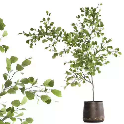 Decorative tree in a flowerpot for the interior 955