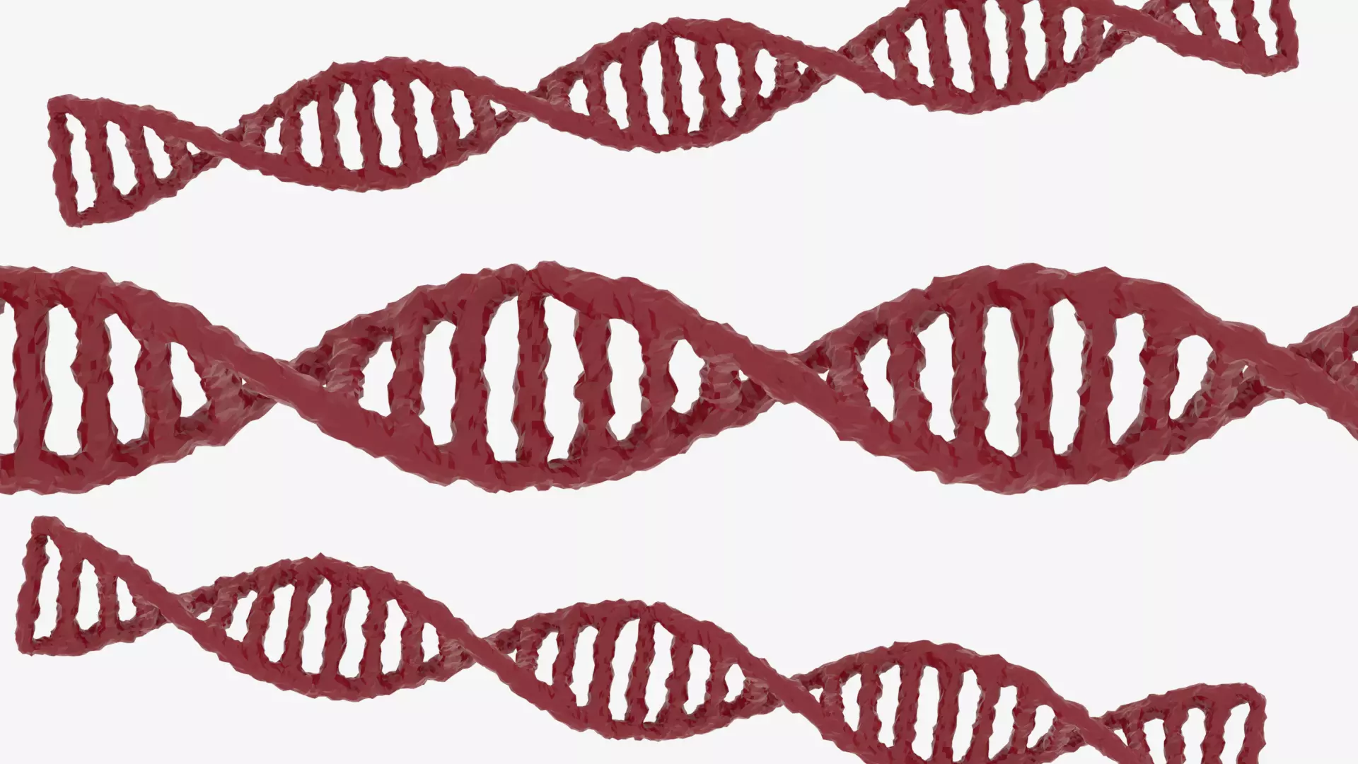 DNA Science 3D model