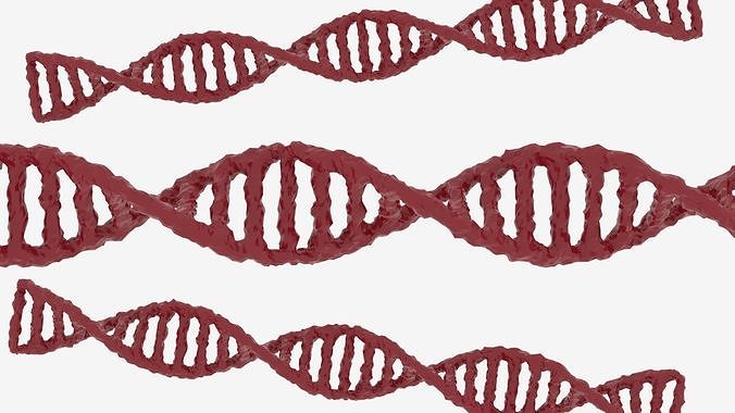 DNA Science 3D model