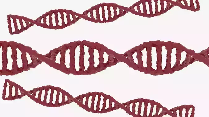 DNA Science 3D model