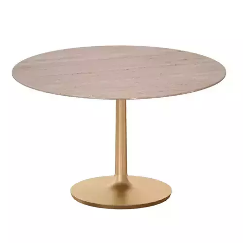 Nero 48 Brown Marble Dining Table with Brass Base