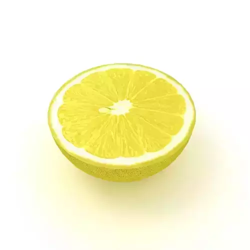 Lemon slice of