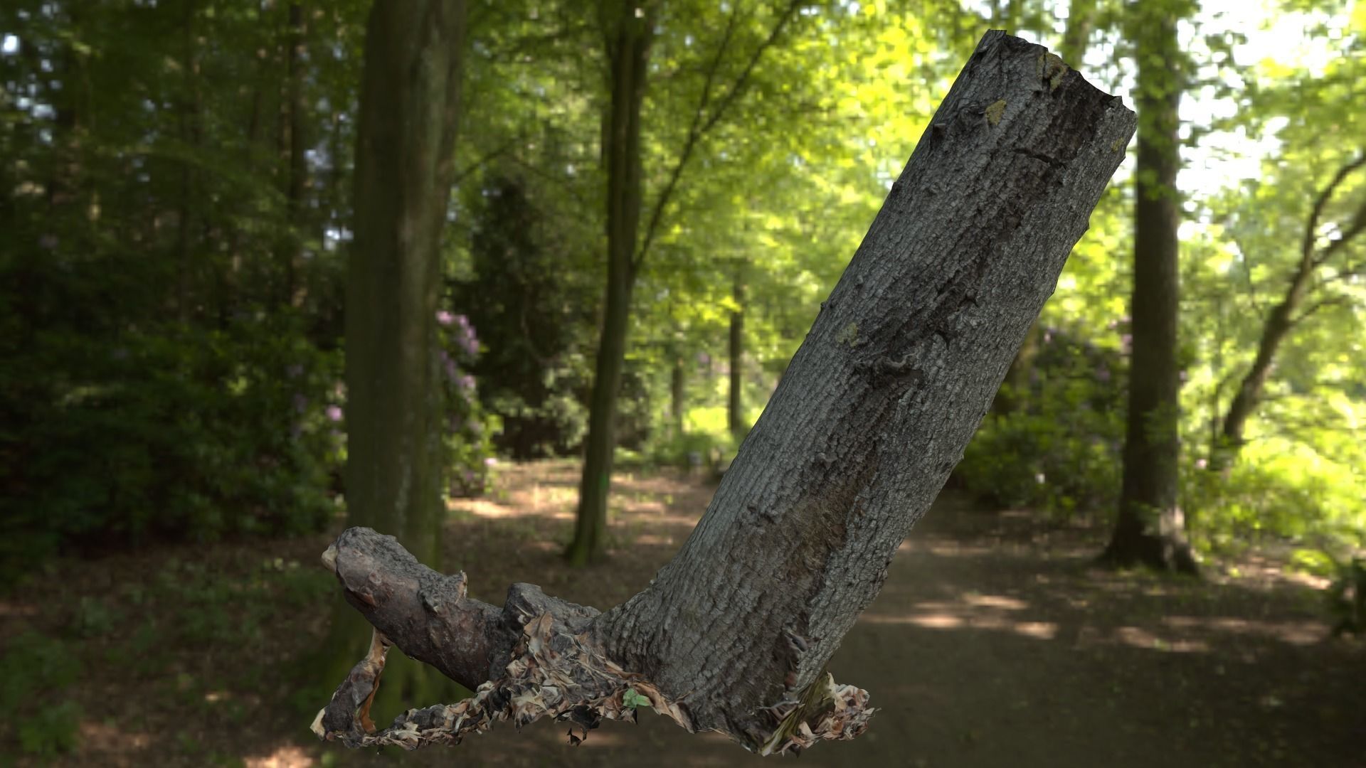 Leaning tree Low-poly 3D model_4