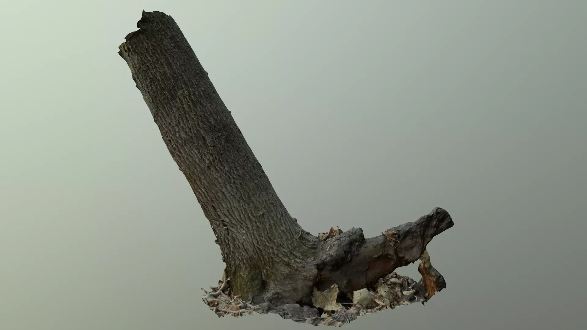 Leaning tree Low-poly 3D model_0