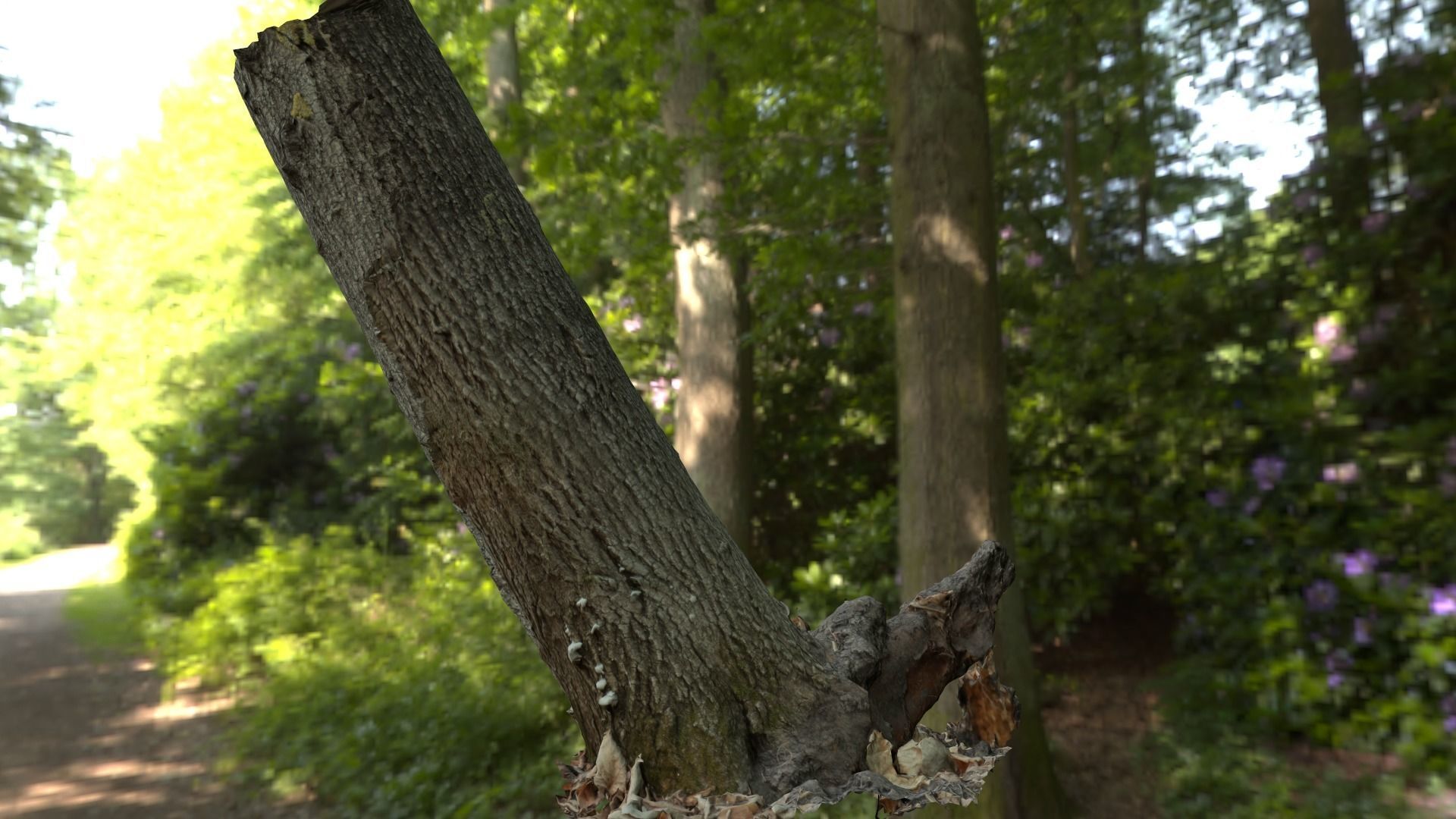 Leaning tree Low-poly 3D model_5