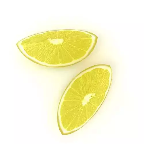 Lemon 2 sanding disc 3D model 4